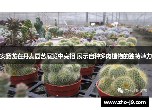 安赛龙在丹麦园艺展览中亮相 展示自种多肉植物的独特魅力